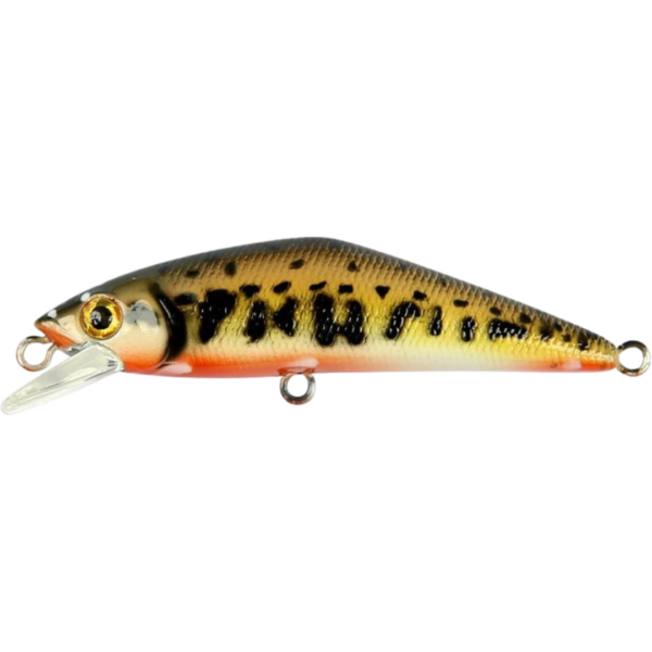 Leurre Coulant Smith D-Contact - 5Cm