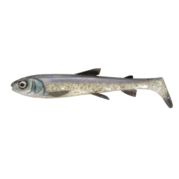Leurre Souple Savage Gear 3D Whitefish Shad - 23Cm – Image 7