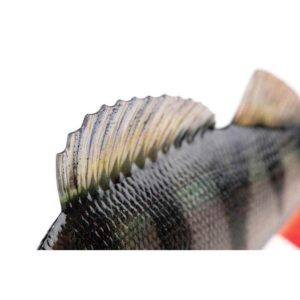 Leurre Souple Armé Fox Rage Ultra-Realistic Perch Replicant