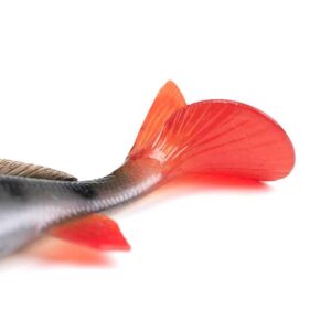 Leurre Souple Armé Fox Rage Ultra-Realistic Perch Replicant
