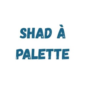 Shad à Palette