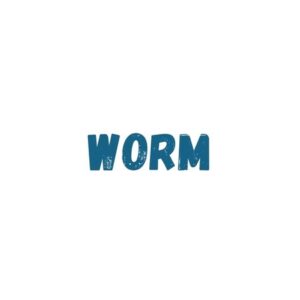 Worm