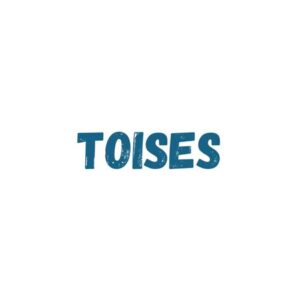 Toises