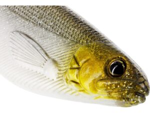 Leurre Souple Westin Shadteez - 12Cm