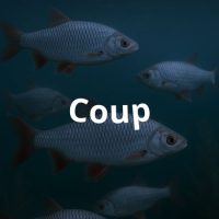 Coup